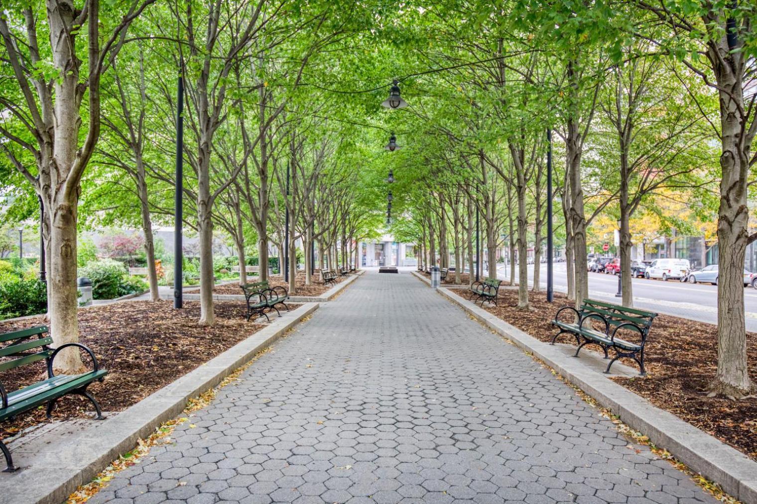 Apartment Fidi 1br W Doorman Wd Nr South St Seaport Nyc-1306 *